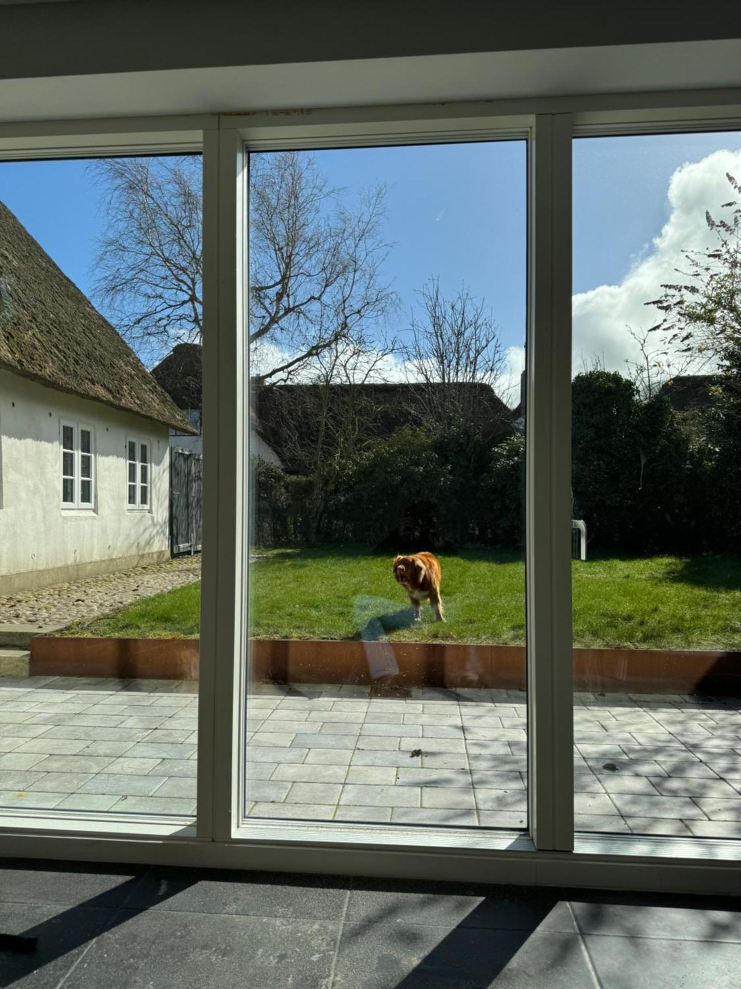 ニーブルムKapitaenshaus Von 1712 - Neu Saniertアパートメント エクステリア 写真